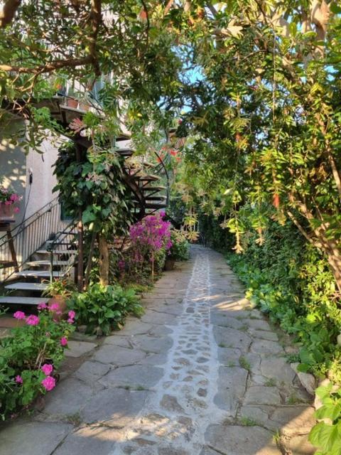 Bed and Breakfast Casa Cambini Марина-ди-Масса Экстерьер фото