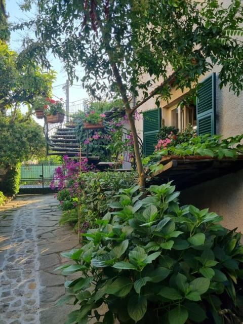 Bed and Breakfast Casa Cambini Марина-ди-Масса Экстерьер фото